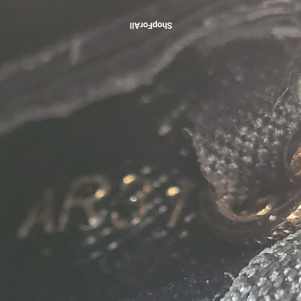Louis Vuitton Black Monogram Key Pouch - Picture 7 of 11